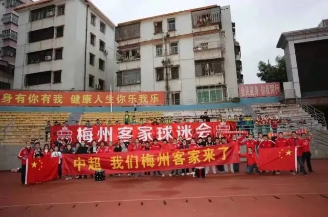 精品久久久久久久高清